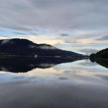 Entre Montagne Et Lac Gérardmer Zewnętrze zdjęcie